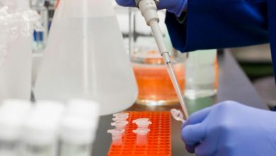 the-importance-to-digitalize-laboratories-process-and-data
